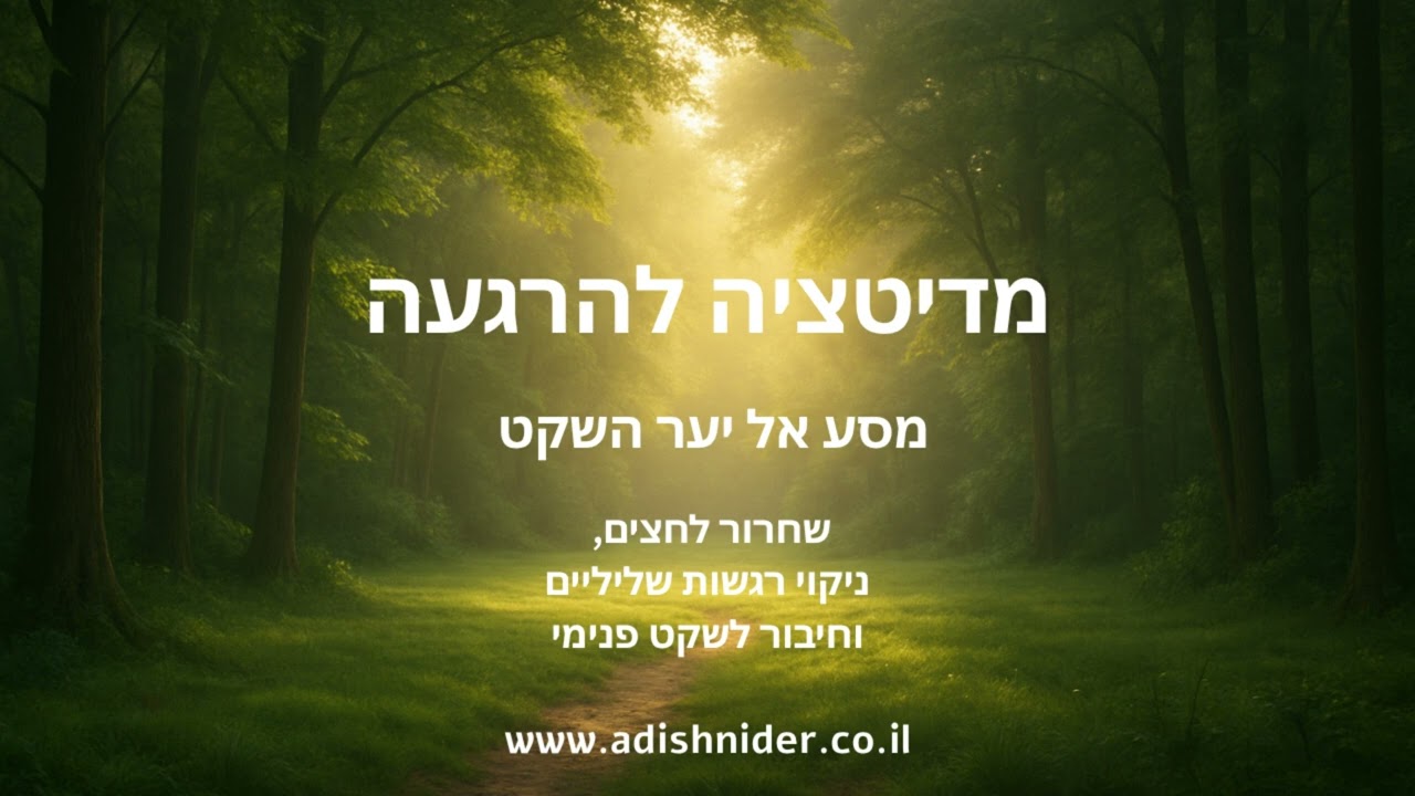 יער השקט | מדיטציה להרגעה | הפחתת לחצים עם דמיון מודרך | התמודדות עם חרדות | ניקוי רגשי