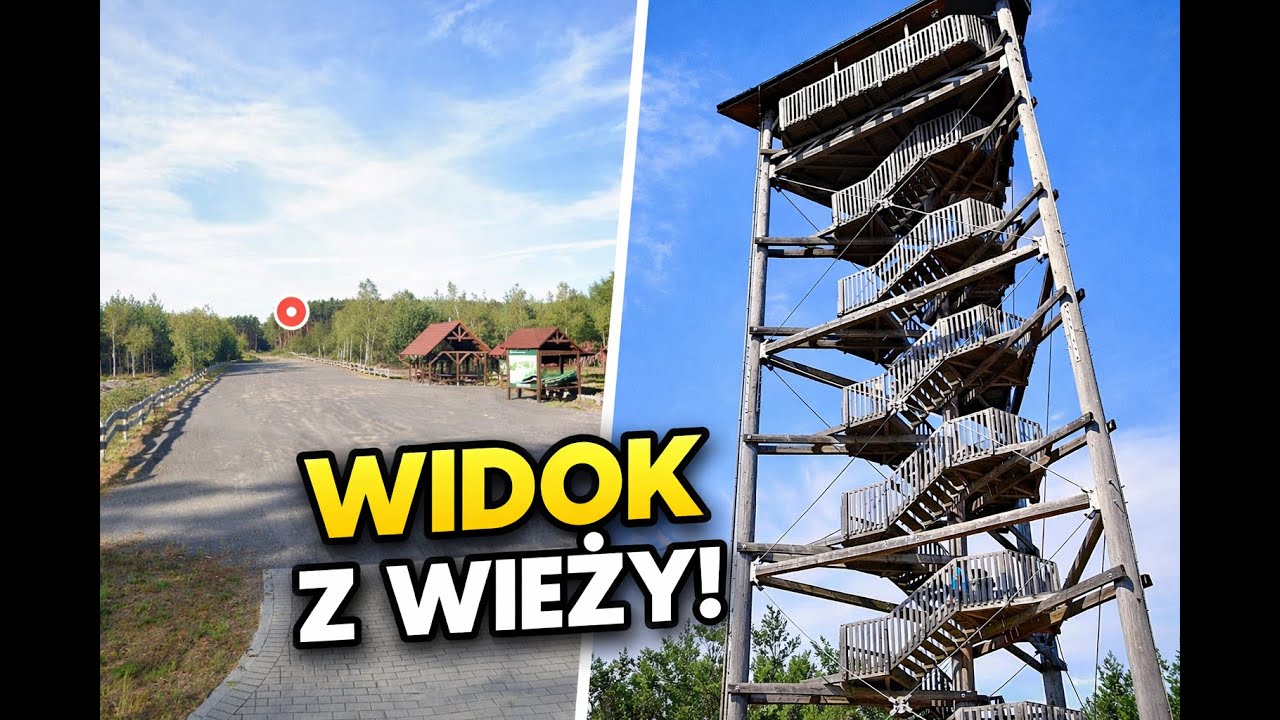 Jedna z najlepszych wież widokowych w Polsce?- Widok, który robi wrażenie! 🔭🌲