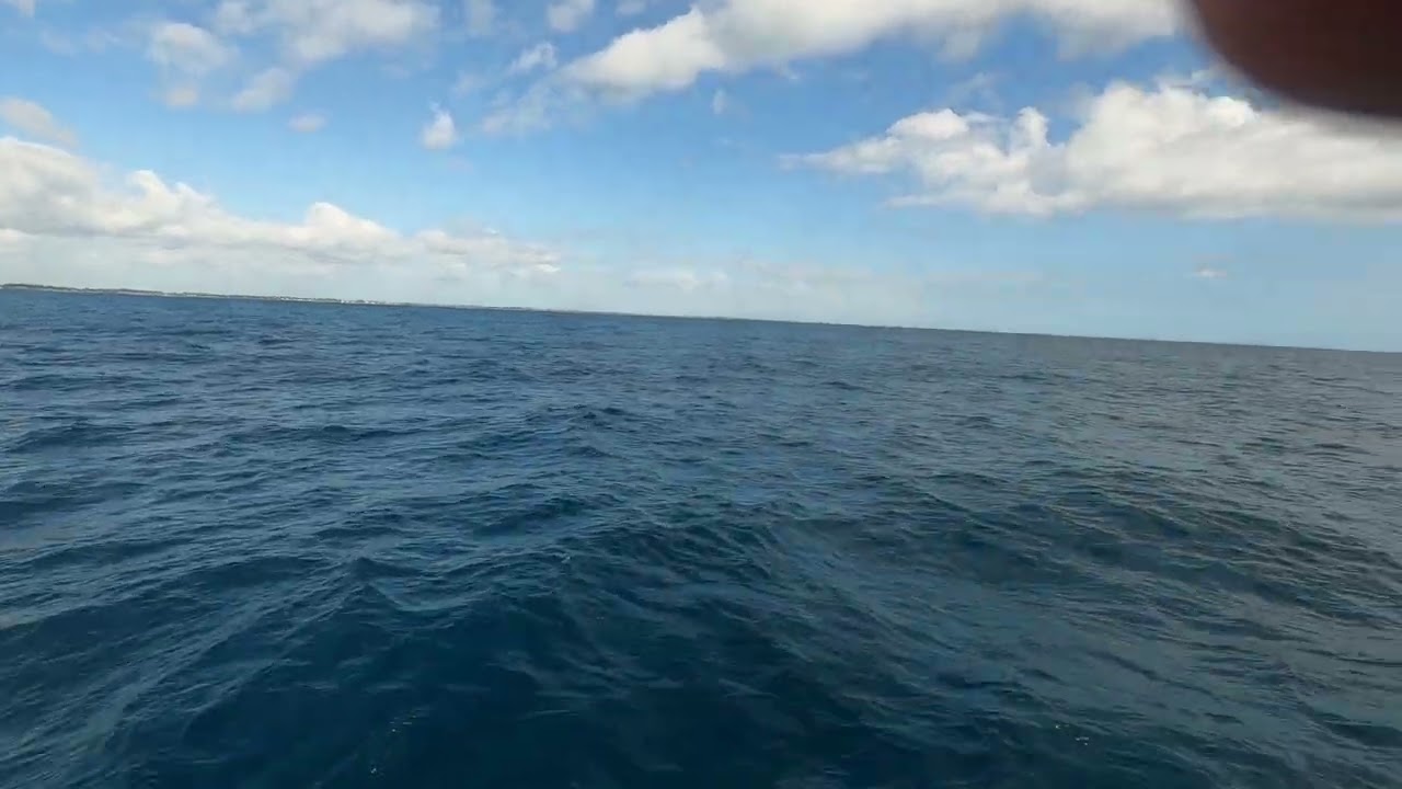 Day 1 Delivery WPB FL to Newport RI