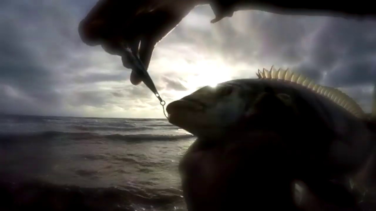 HART // POWER ROCK FISHING