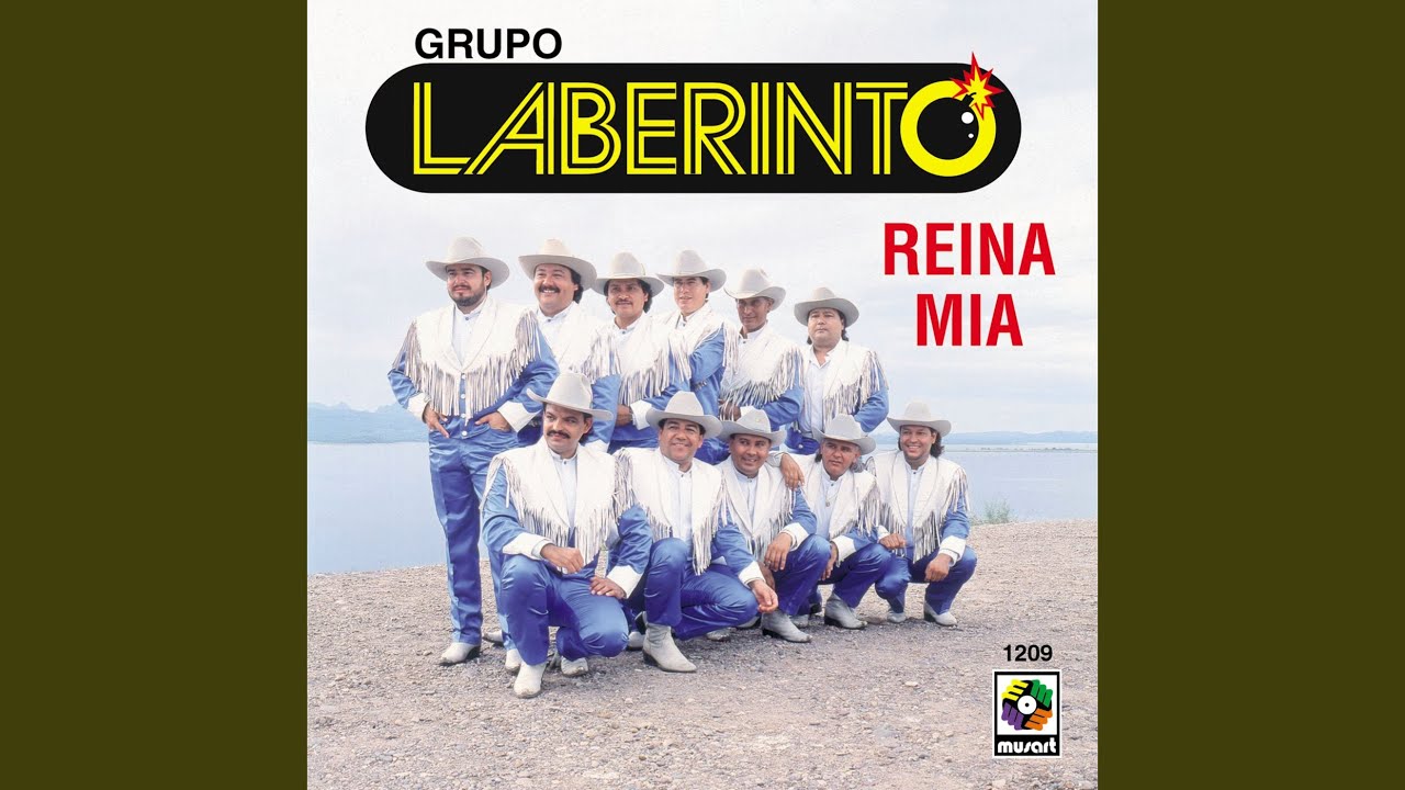 Zapato De Bailador