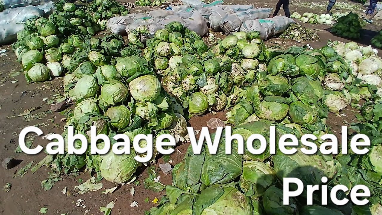 Cheapest Cabbage market in Abuja #business 