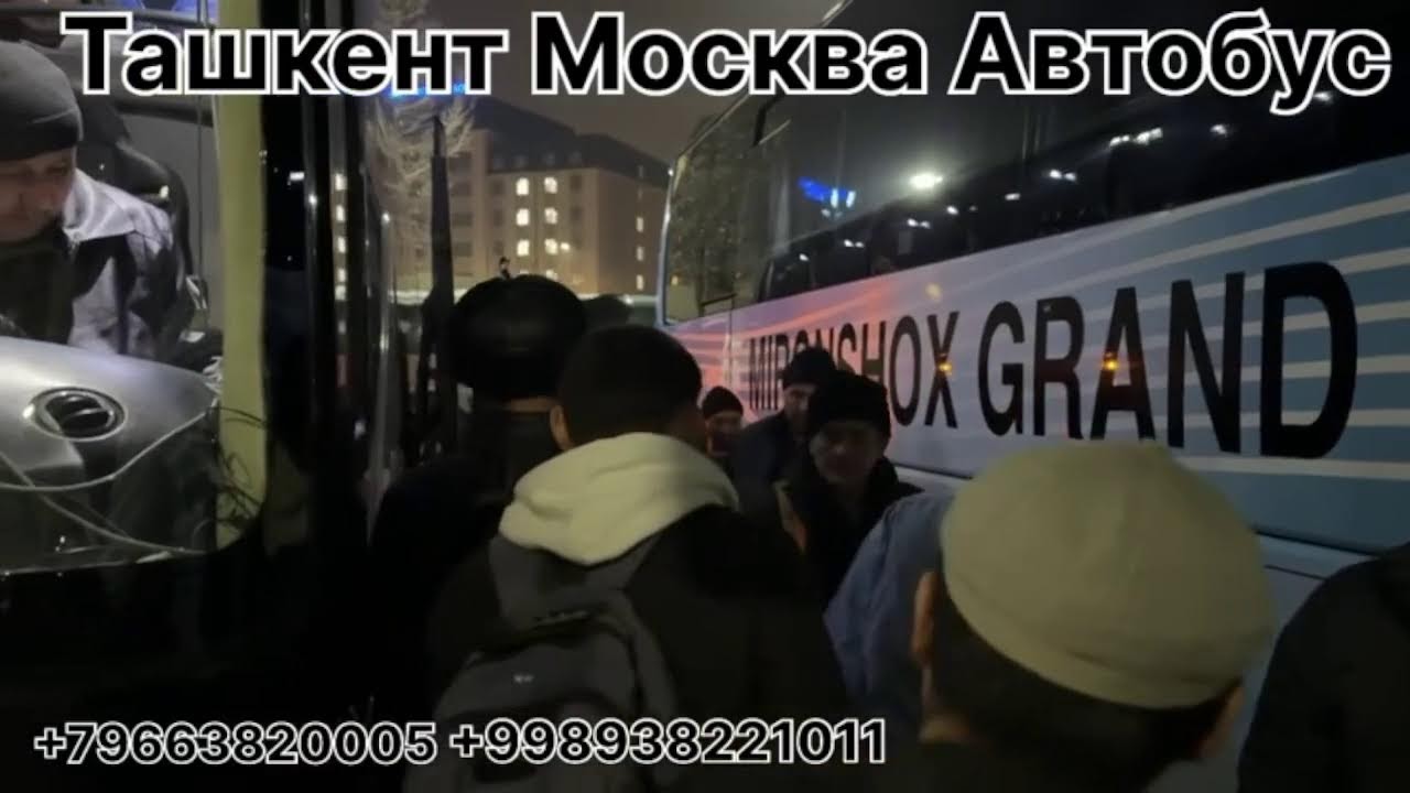 tashkent moskva avtobus москва ташкент автобус
