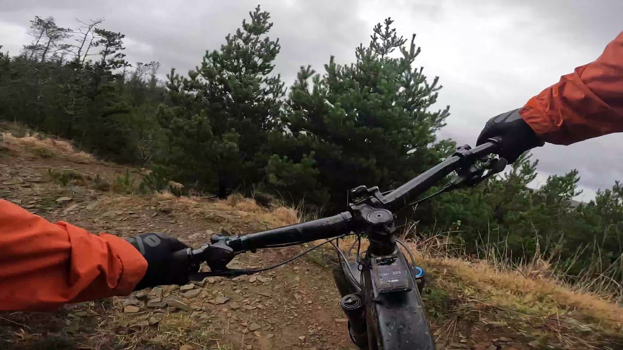 Afan Forest Mountain Biking - Whites Level Black Run