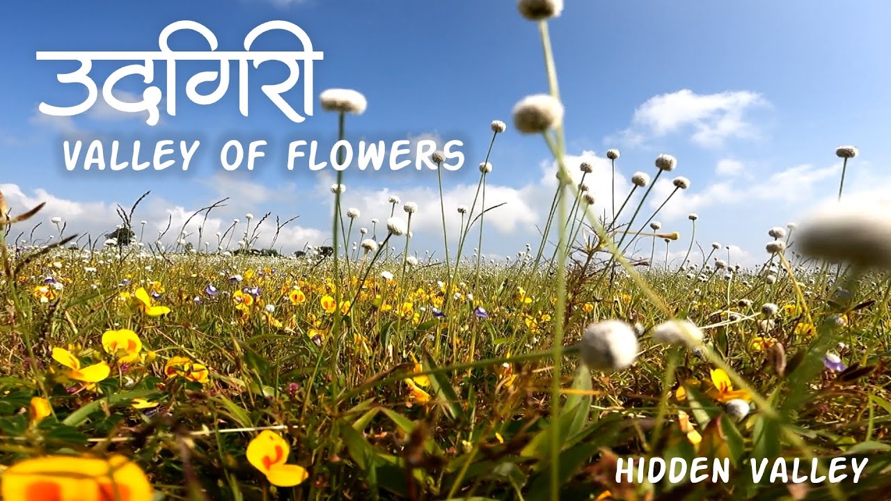 उदगिरी पठार, Udgiri Plateau Valley of Flowers, Vine Snake, Hidden Gem of Kolhapur, मराठी Vlog