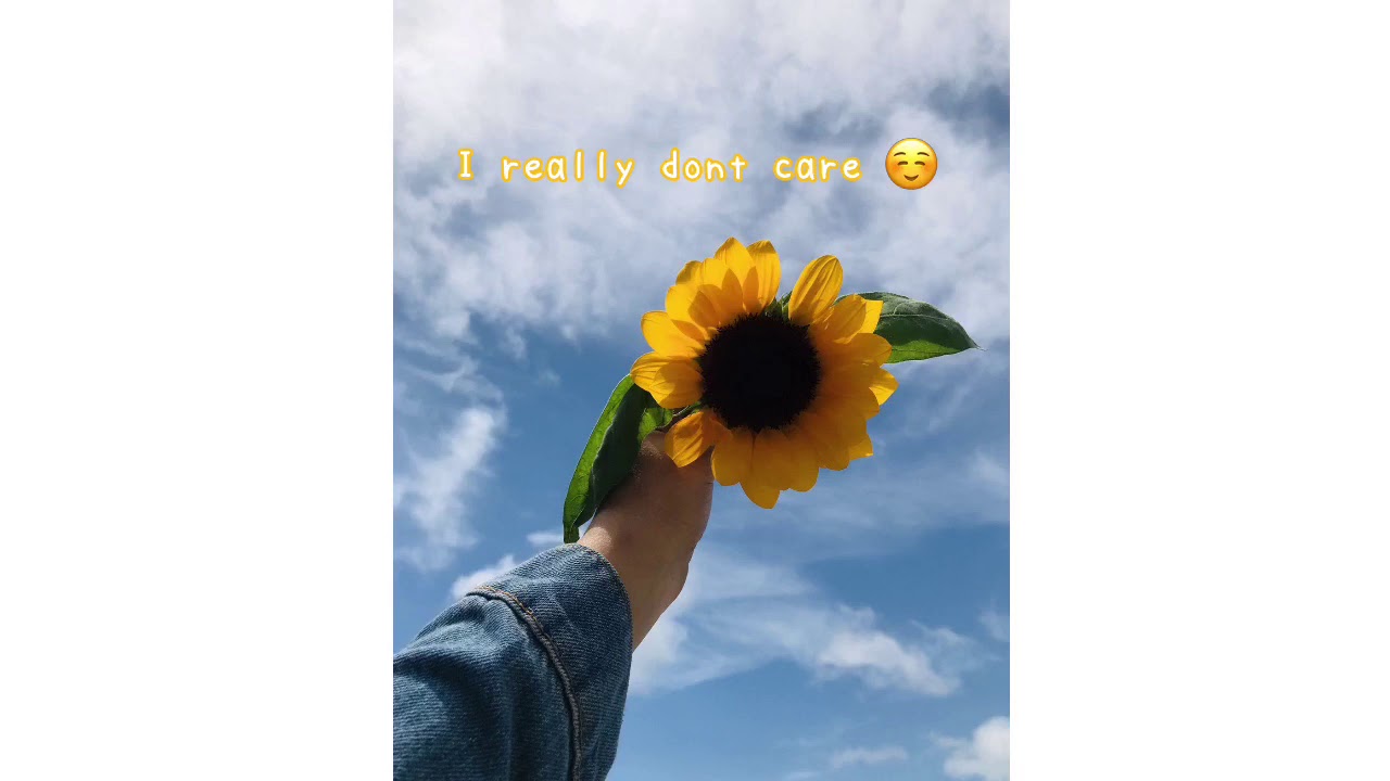 I really don’t care (slowed down) Original song made by: Demi Lovato