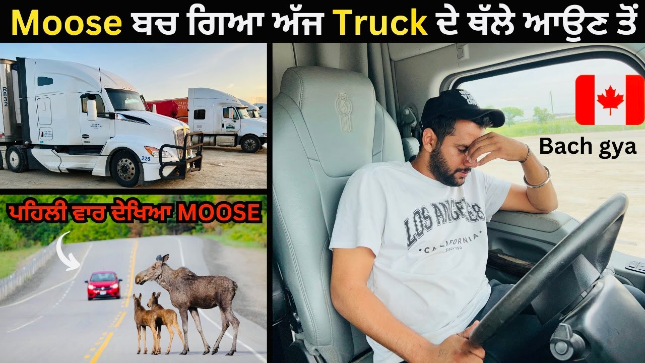 Moose aa Gya si Aaj Truck Thale 🥺 || Bach gya 🇨🇦
