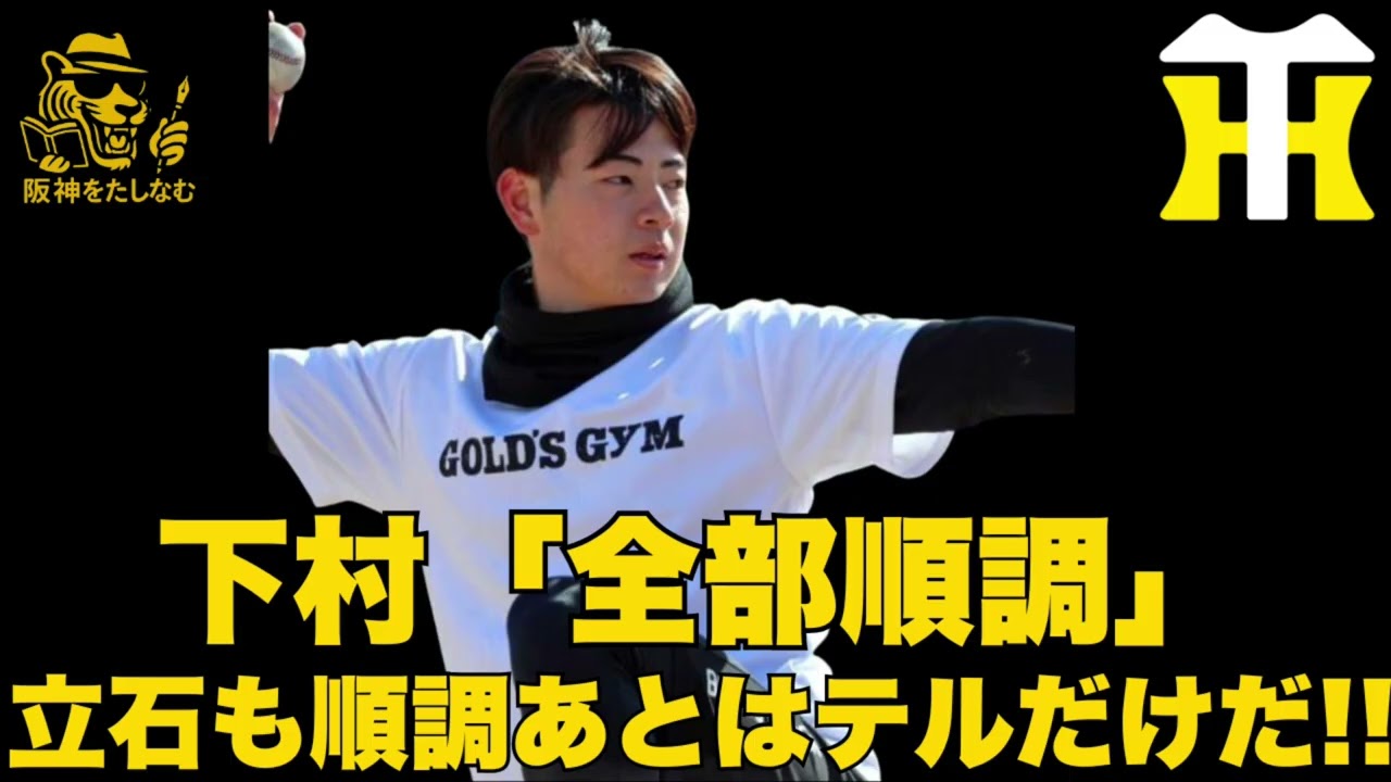 下村捕手座らせて投げる‼️立石も順調に回復‼️あとはテルの契約だけだ #阪神タイガース＃谷端 ＃阪神タイガースたしなむ#ディベイニー＃阪神　春季キャンプ#佐藤輝明＃嶋村 麟士朗＃下村 海翔