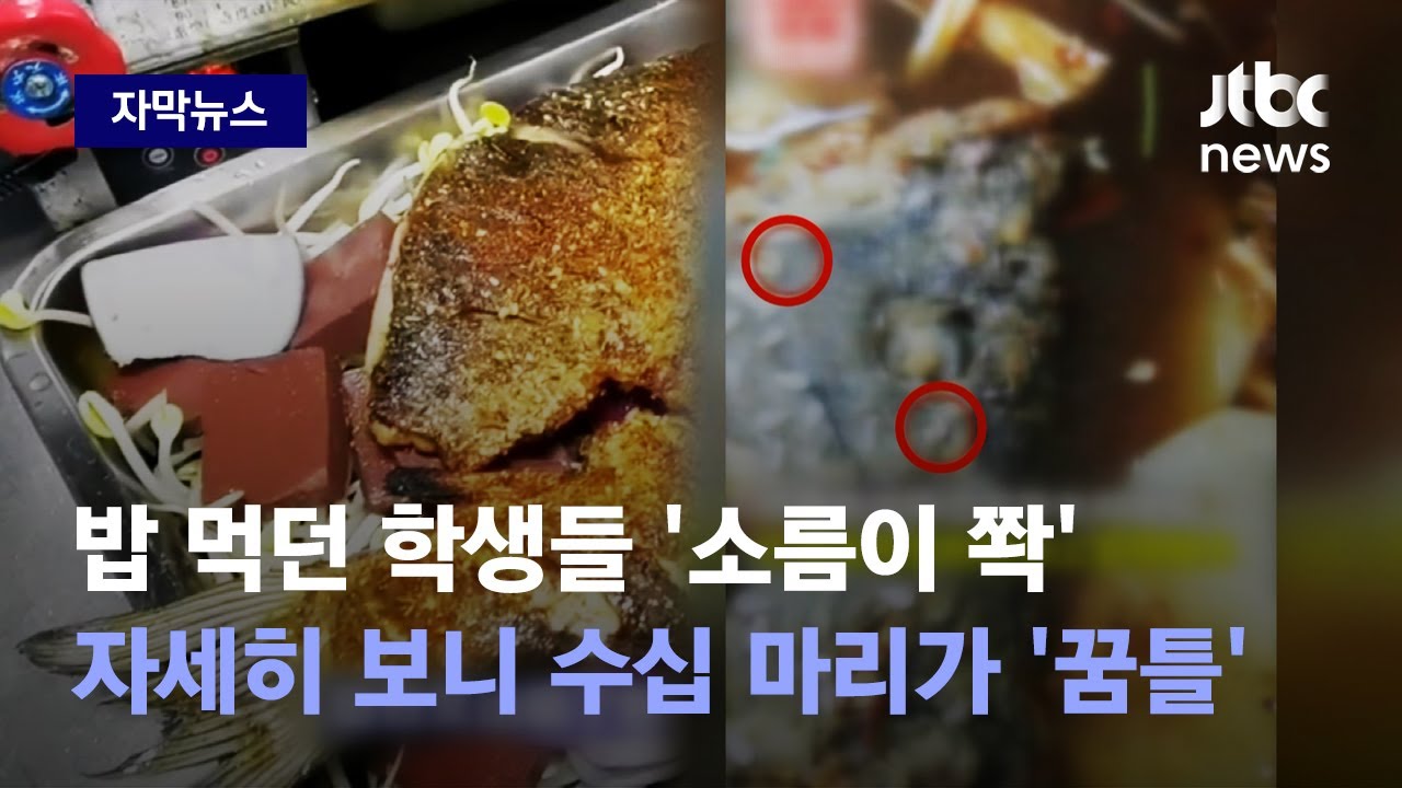 [자막뉴스] '도대체 몇 마리야 이게…' 쉬쉬하던 중국, 결국 폭발했다 / JTBC News