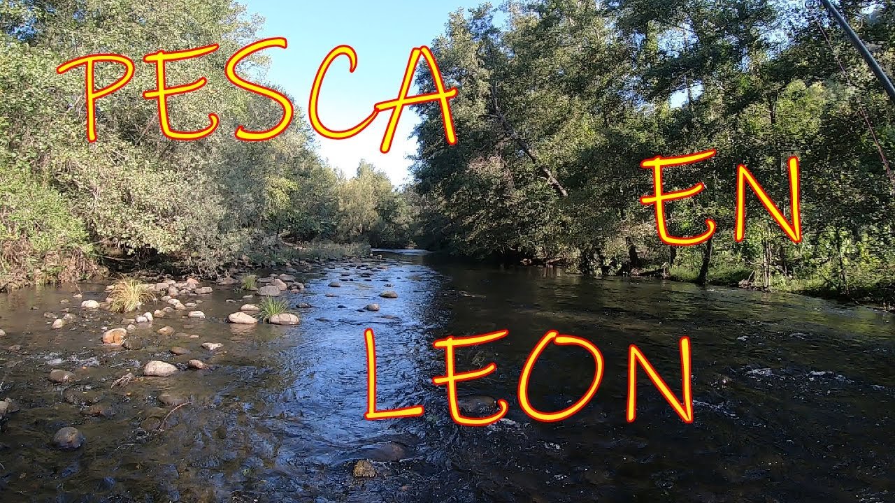 Pescando a Mosca en León - Ríos y Truchas ÍNCREIBLES!!!