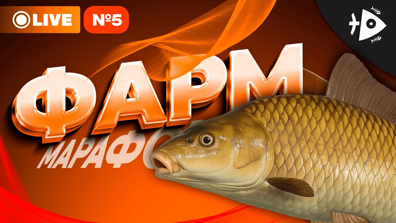 РР4 • НЕДЕЛЬНЫЙ МАРАФОН • ДЕНЬ ПЯТЫЙ • РУССКАЯ РЫБАЛКА 4 • МЕДНОЕ ОЗЕРО