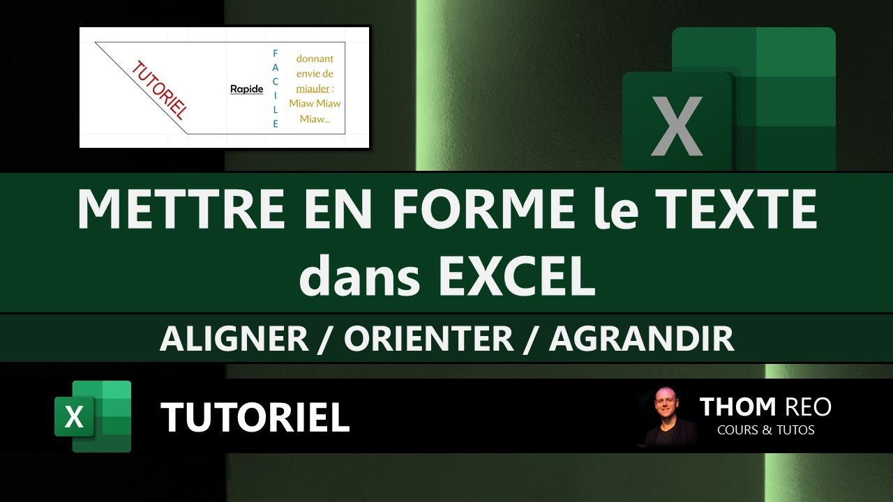 MISE EN FORME du TEXTE dans EXCEL : aligner, centrer, orienter, renvoyer à la ligne... (Formation)