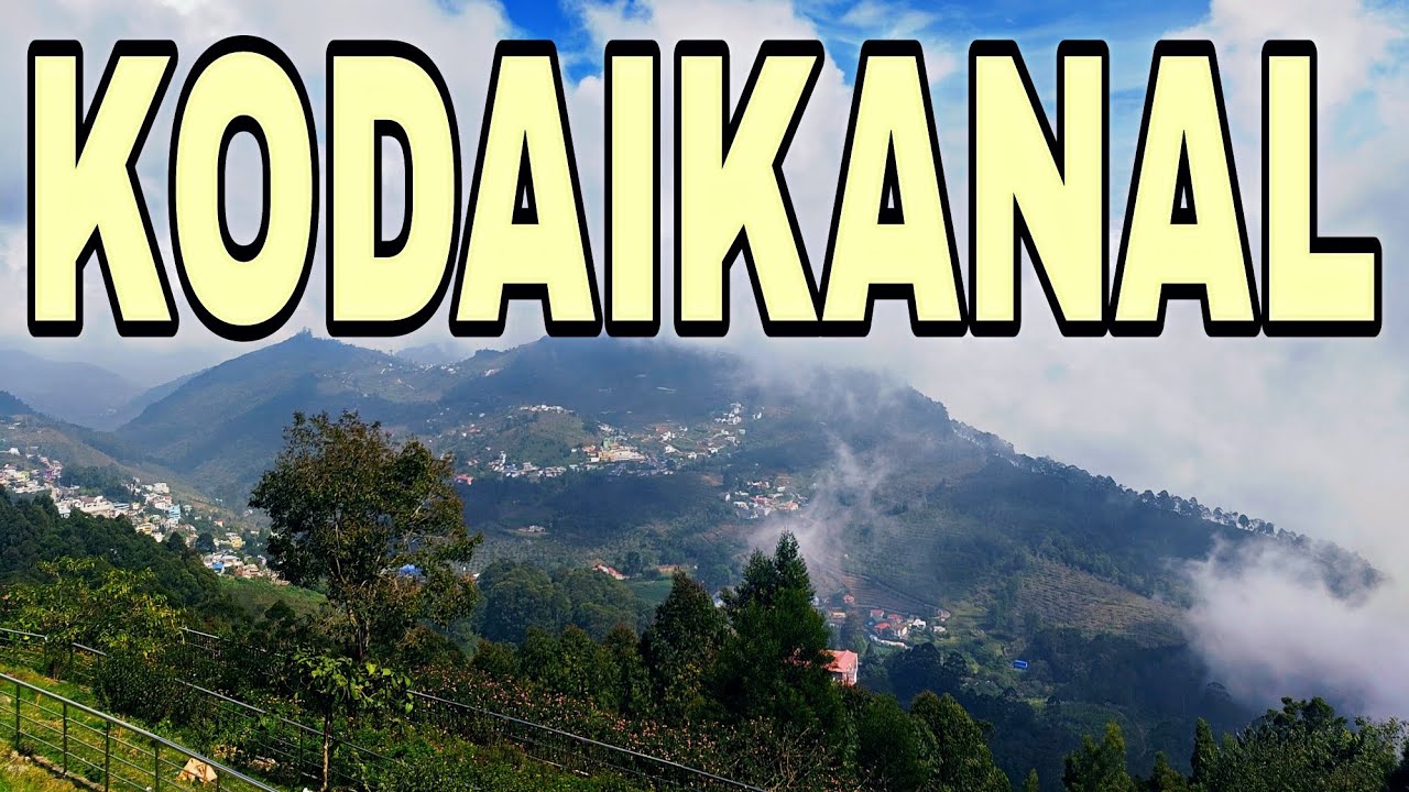Kodaikanal | A Cinematic Escape into the Clouds ☁️🌲