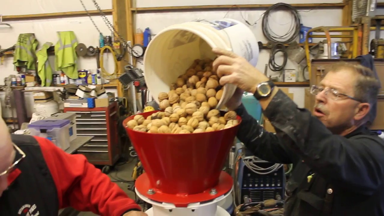 Patriot 600 Nut Cracker cracking native Idaho English Walnuts