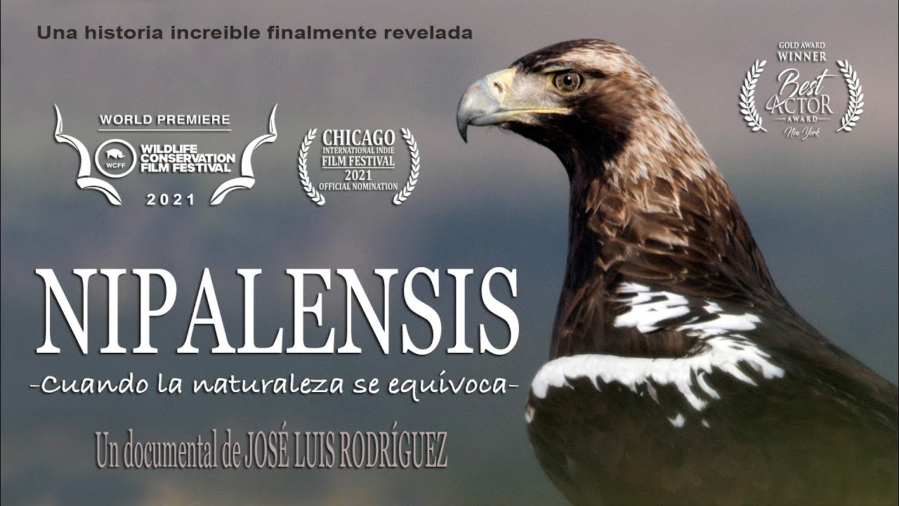 NIPALENSIS cuando la naturaleza se equivoca