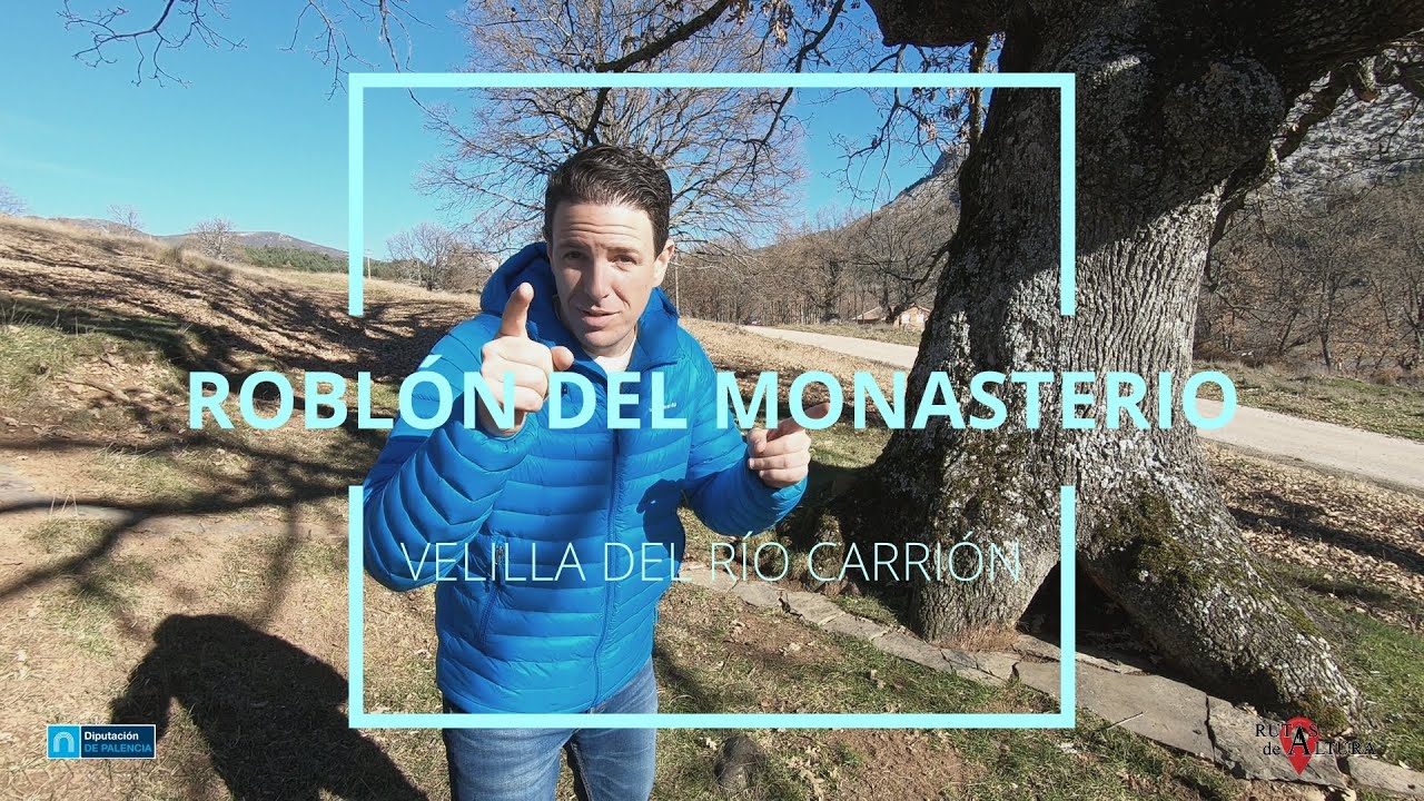 ROBLÓN DEL MONASTERIO -VELILLA DEL RIO CARRIÓN - RUTAS DE ALTURA
