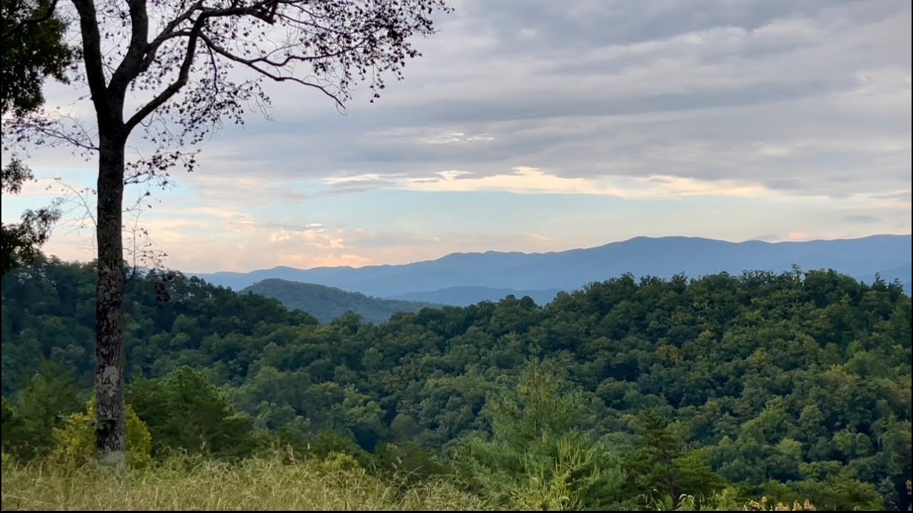 Foothills Parkway -  A Little Windy & Rainy But Still an Amazing View!   Happy Fall Y”All!   9.21.25