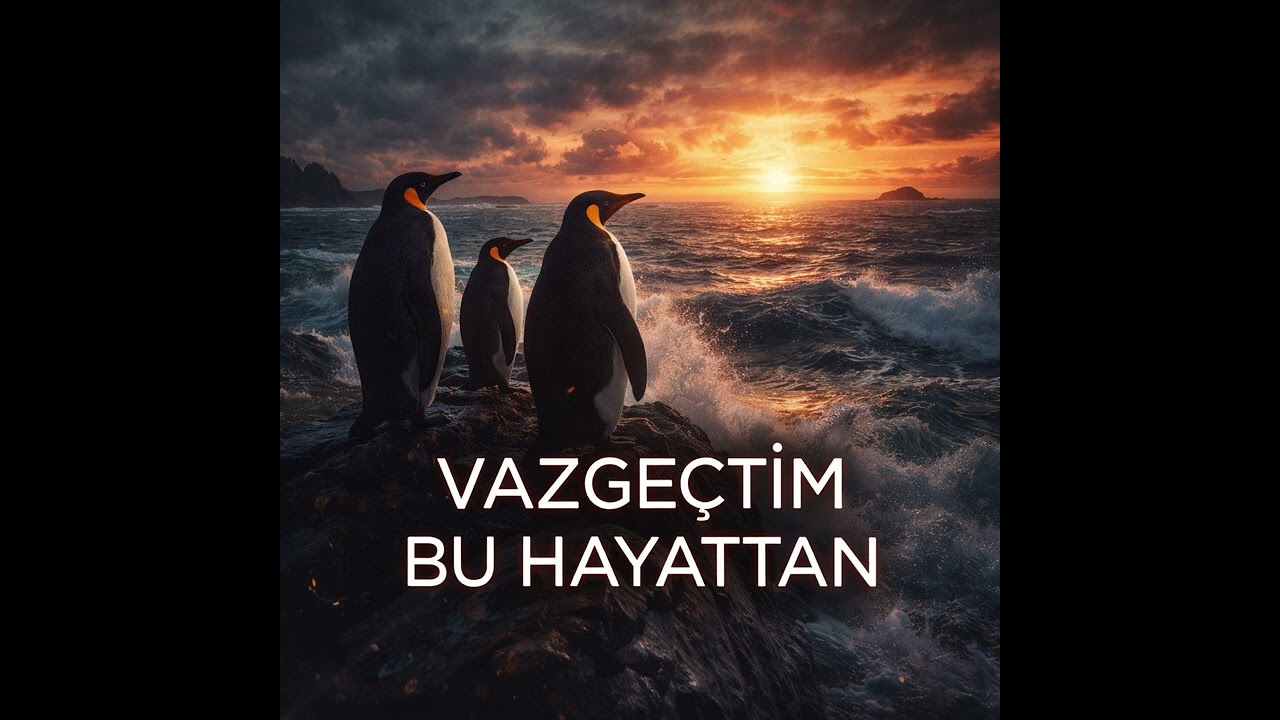 Blok chain / Vazgeçtim Bu Hayattan