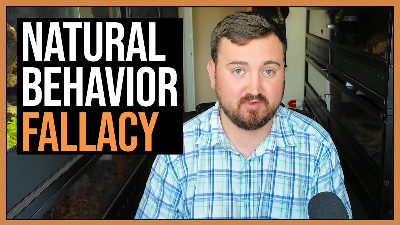 Why Focusing on Whats Natural For Reptiles Is Wrong