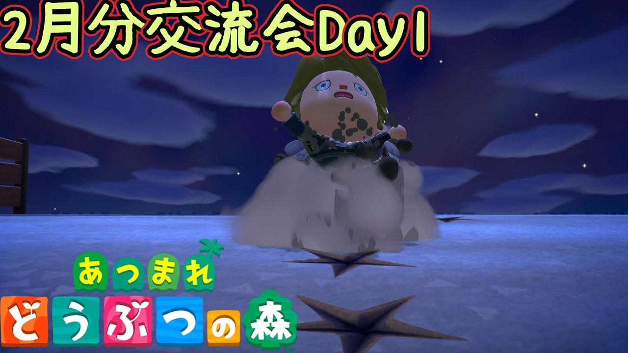 月一交流会企画～造(つくる)～【あつまれどうぶつの森/あつ森】２月分Day１🛏