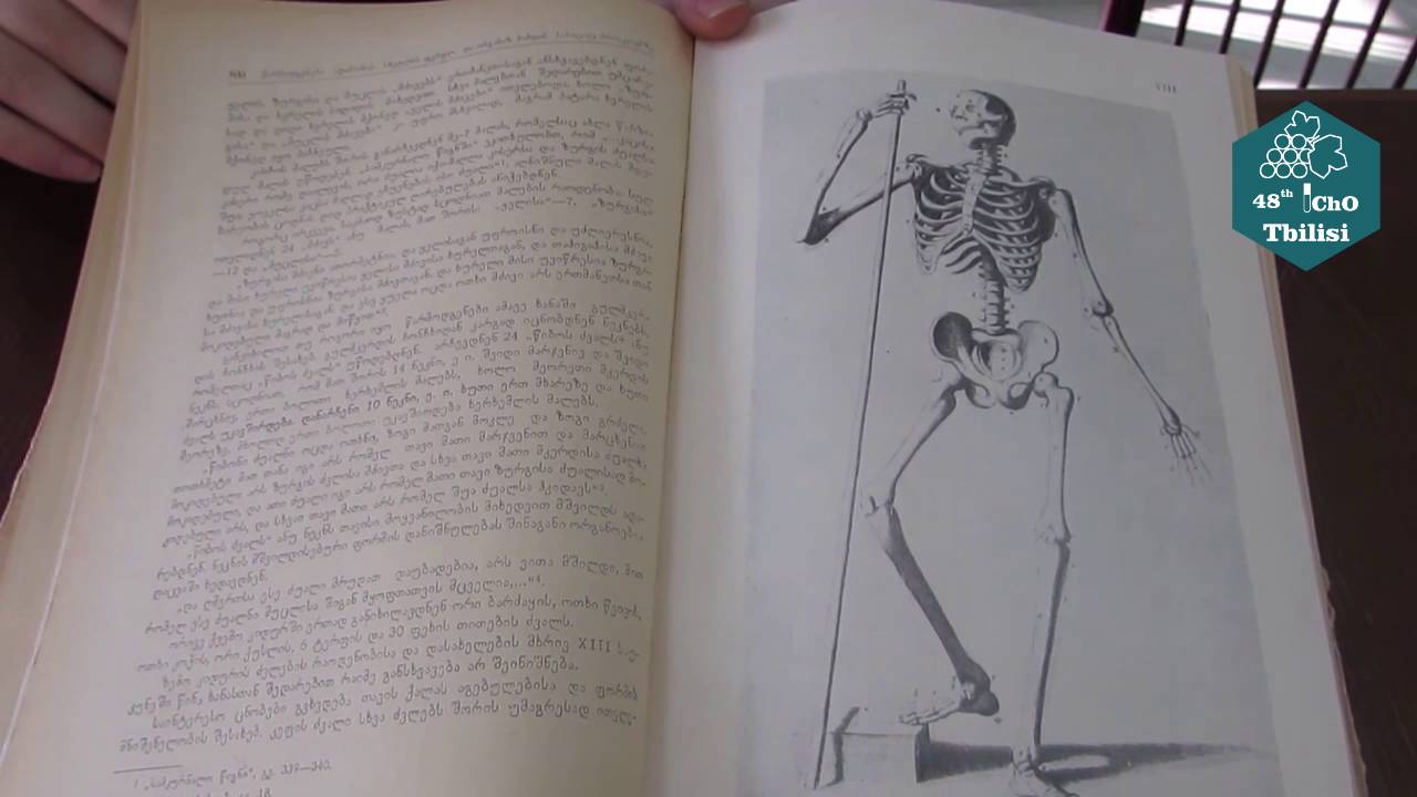 Joneta Gvazava - Guide of India (IChO-48)