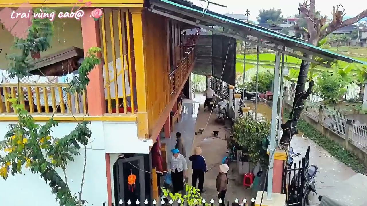 Ngôi nhà sàn 🏠 ấm áp sáng tối 🎇