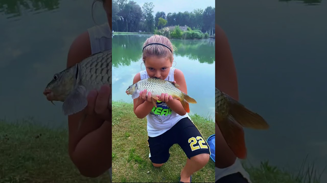 Pesca alla carpa , corso di pesca Feeder  #fishing #feeder #carpfishing #carp #methodfeeder