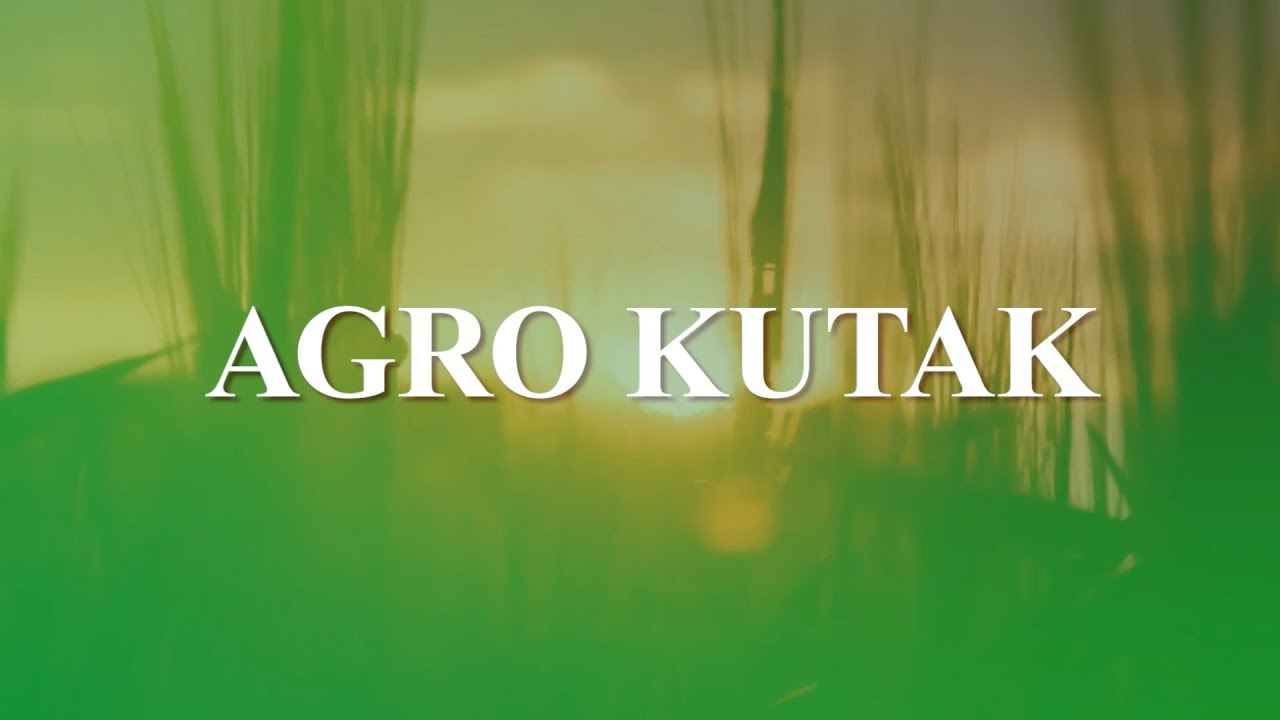 AGRO KUTAK: Uzgoj kornišona