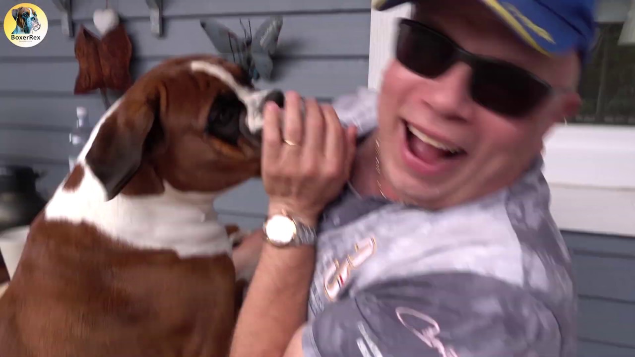 Friends came over for some sweet boxer kisses! 💋 💋 💋 And we got presents!