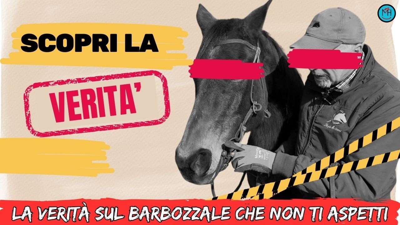 Senza Barbozzale è un Rischio...