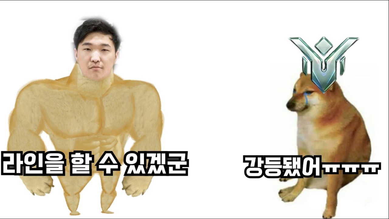강등됐으니 라인을 해야겠군