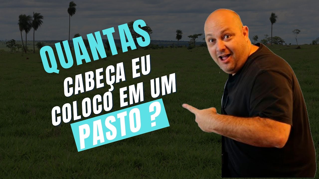QUANTAS CABEÇA EU POSSO COLOCAR EM UM DETERMINADO PASTO? | PROF MARCELO COSTA