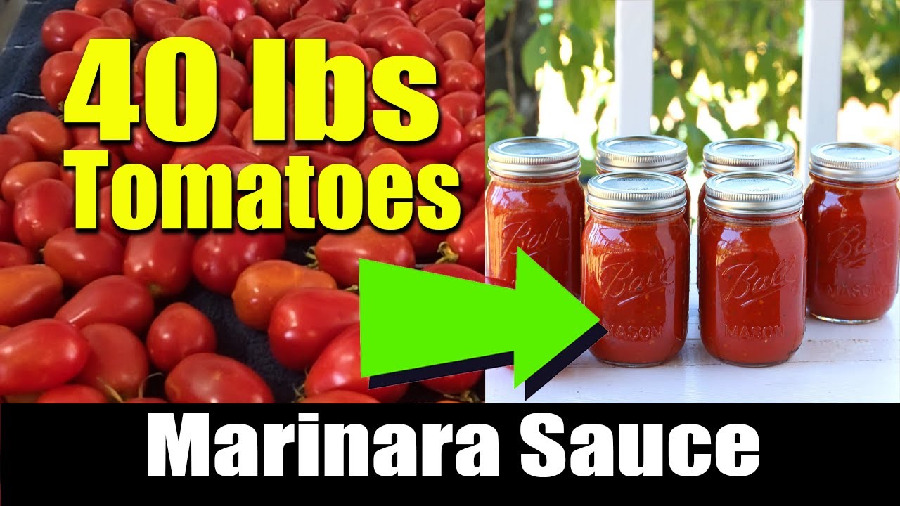 Making Homemade Marinara Sauce (Because What Else Do You Do With 40 POUNDS of Tomatoes?)
