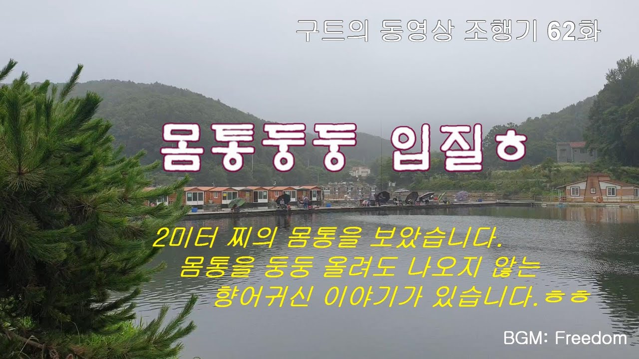 몸통둥둥입질 ㅎ  - 구트의 동영상 조행기 62화- 장대낚시, 잉어낚시, 향어낚시, 찌올림, 한터낚시터, 시원한 입질, 손맛짱, 장찌- 구독 안하신 분들은 구독 부탁드려요~~