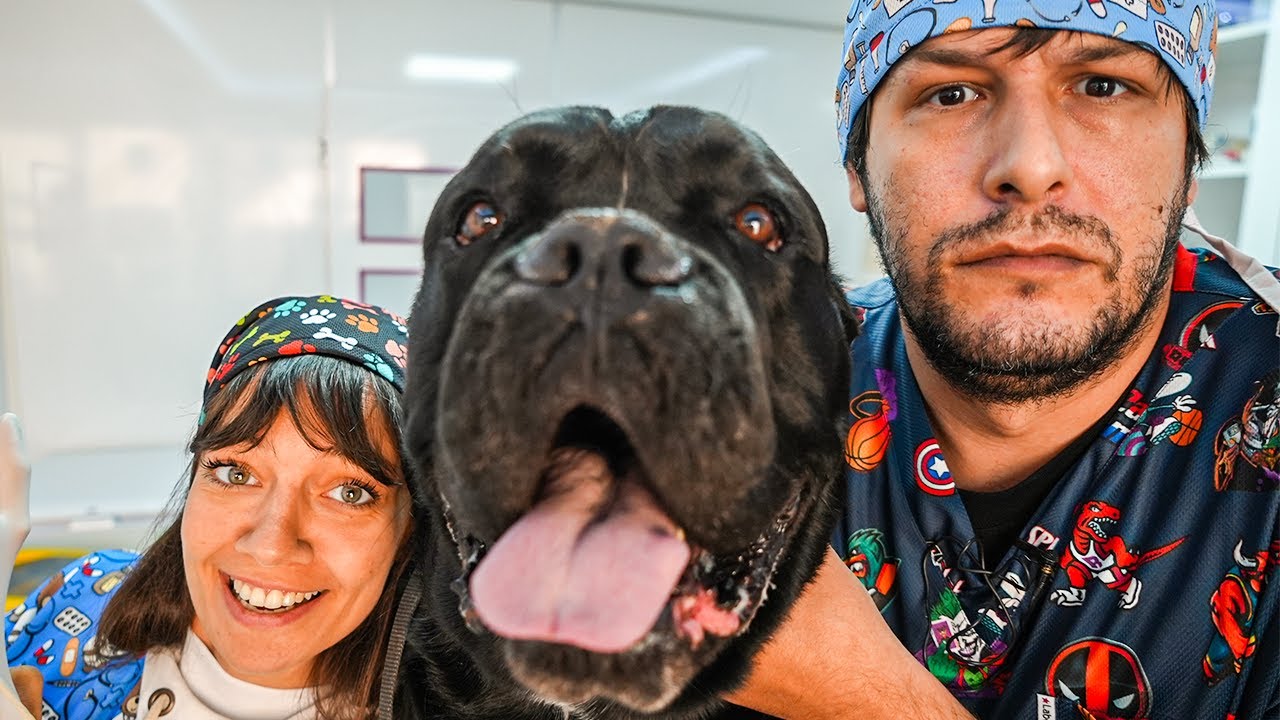 Bir Günlüğüne Veterinermiş Gibi Yap ! @DorukDemirciDoBiDa