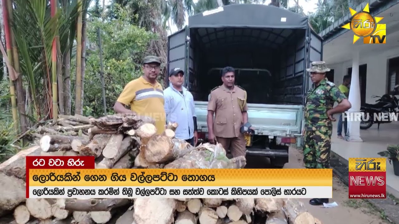 ලොරියක තිබී ඇල්ලූ වල්ලපට්ටා සහ සත්ත්ව කොටස් - Hiru News