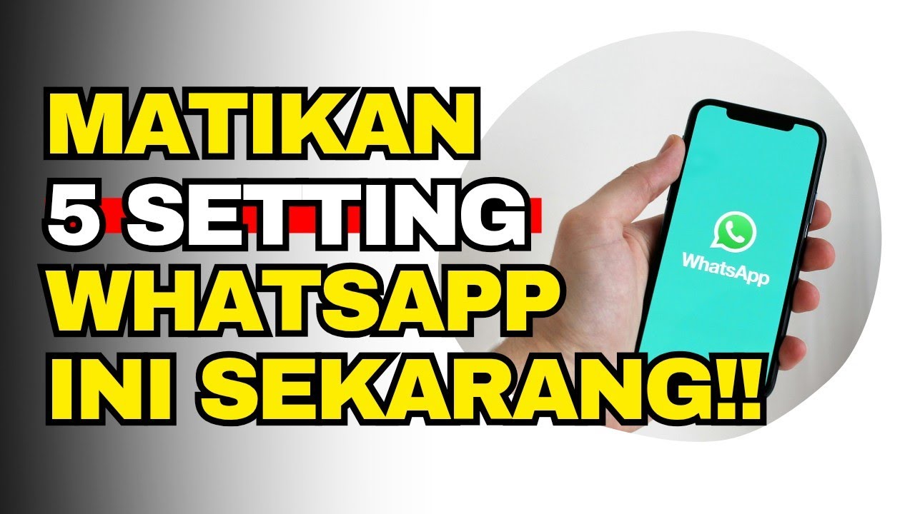 5 Setting WA yang Wajib Lo Matikan Sekarang! Sebelum Kena Hack!