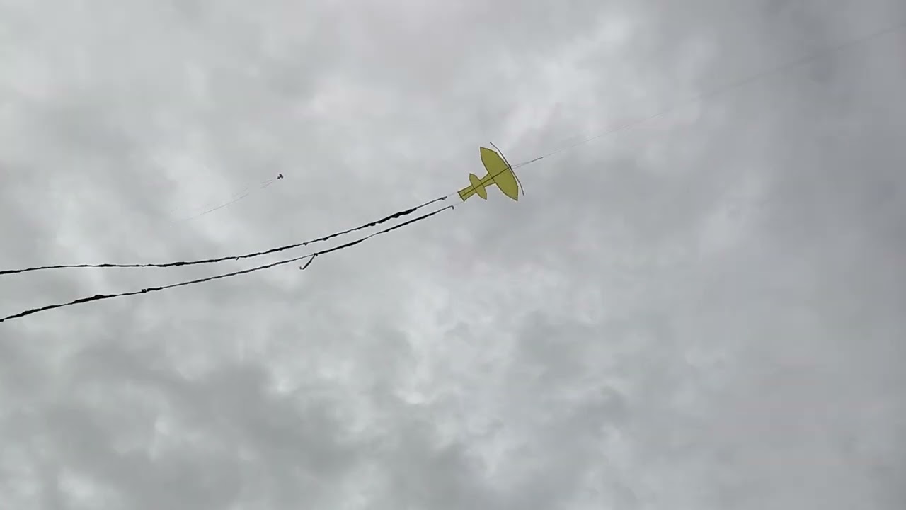 พาทีมงานปล่อยว่าวอีกแล้วครับมื้อนิ #ว่าวสนู #ว่าวอีสาน #เทรนด์วันนี้ #kite 