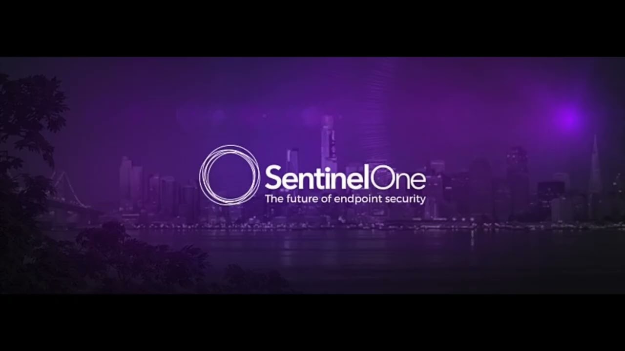 SentinelOne (NYSE: S) Stock: 🔒 $1B ARR Milestone vs. 6x P/S Discount