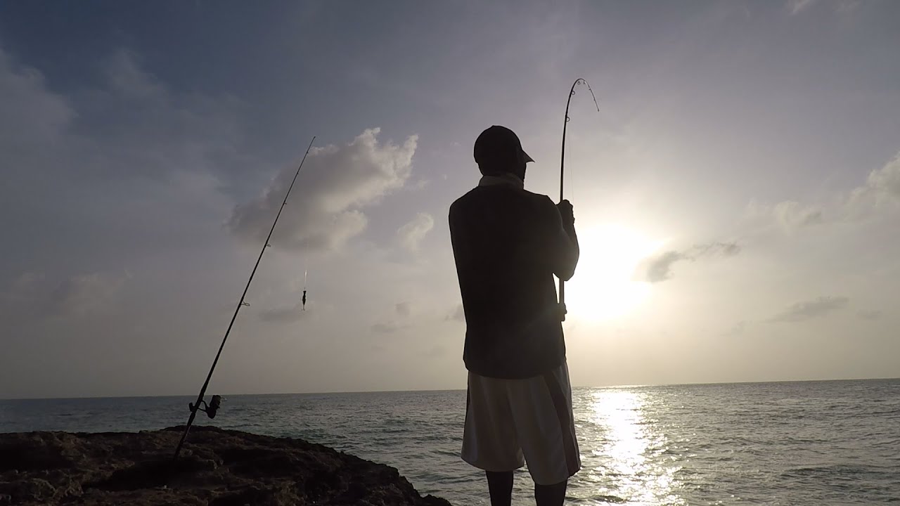Lure Fishing In The Evening / Balloon Fishing In The  Night