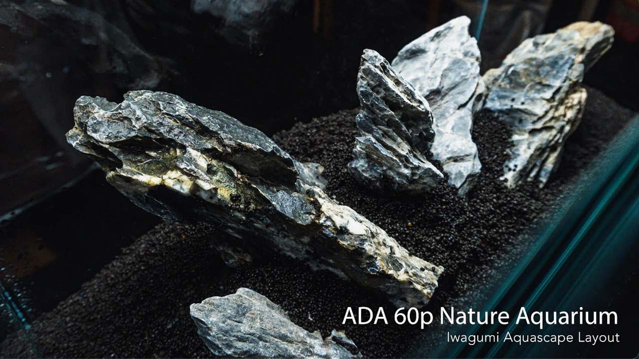 Setting up an ADA 60p Cube Garden Aquarium with Iwagumi Style Aquascape