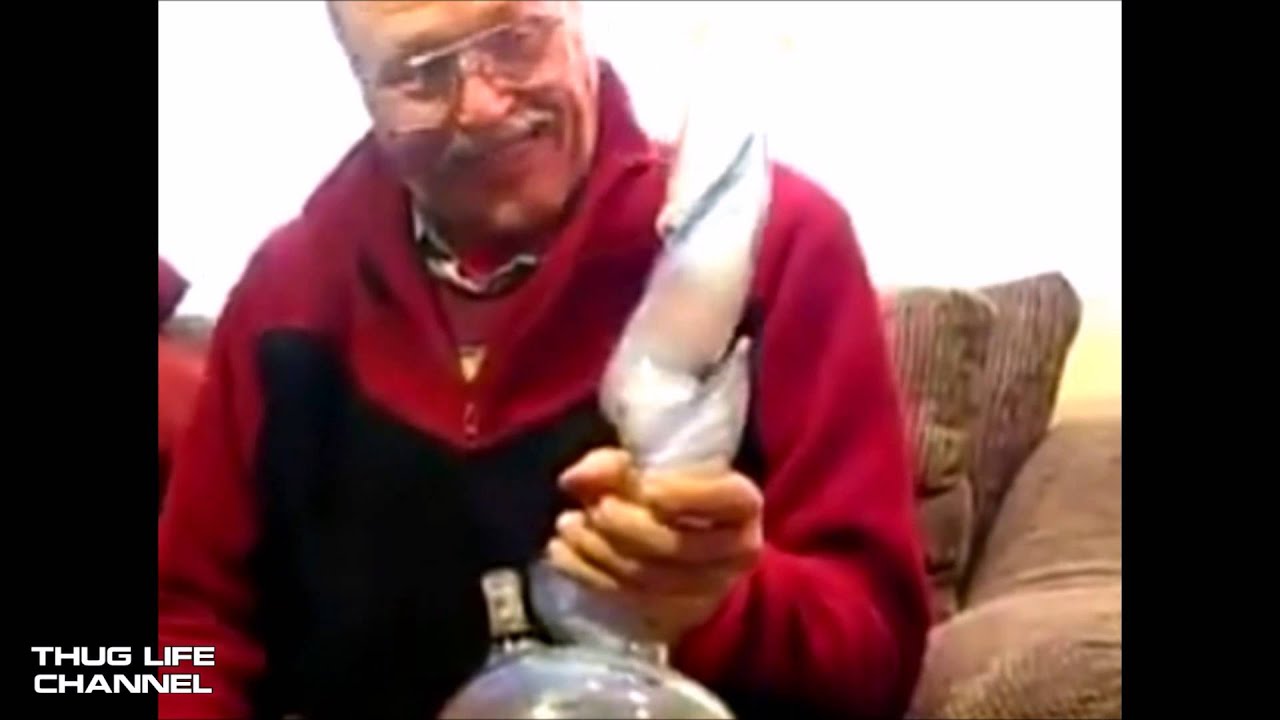 Thug Life: Grandpa smokes weed everyday.