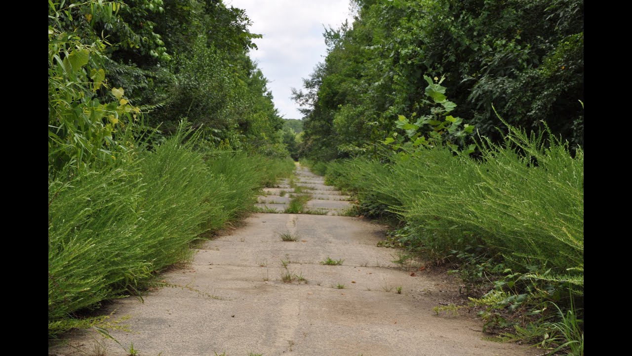 Abandoned Shuffletown Dragway July 6th, 2019