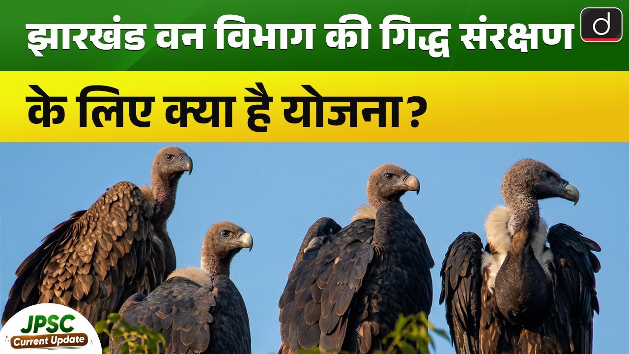 Jharkhand Launches Vulture Breeding Program with BNHS| Current Update |  Drishti BPSC & JPSC