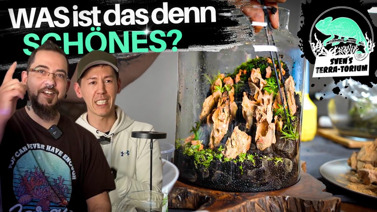 Wabi Kusa explodiert ! Special Guest  