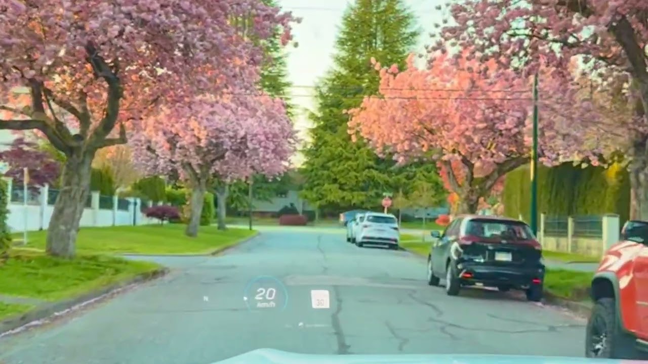 Cherry Blossoms to Snowfall | Driving in Vancouver Across Seasons
