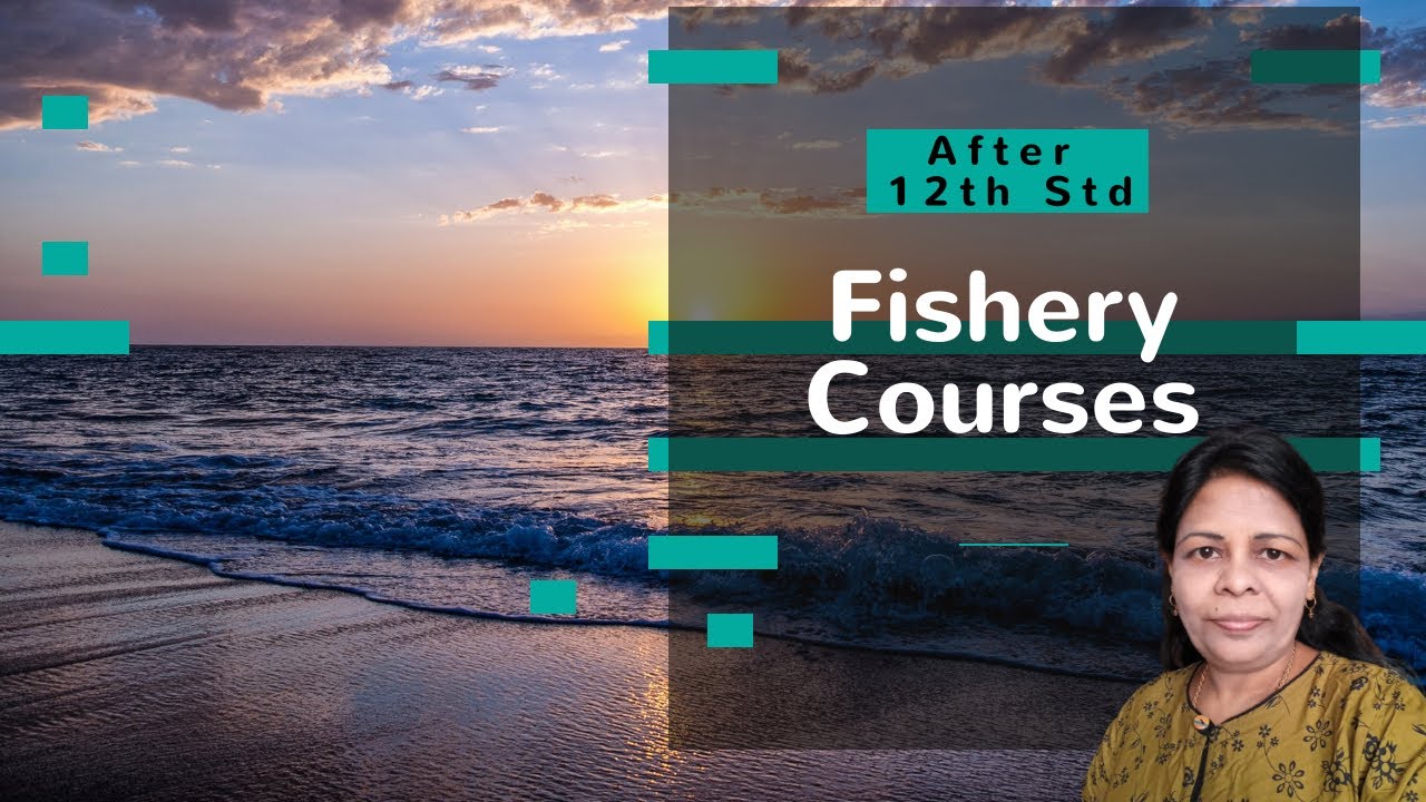 Fishery Courses After 12th Std | Course Details | Admission Criteria | Job opportunities | Scope