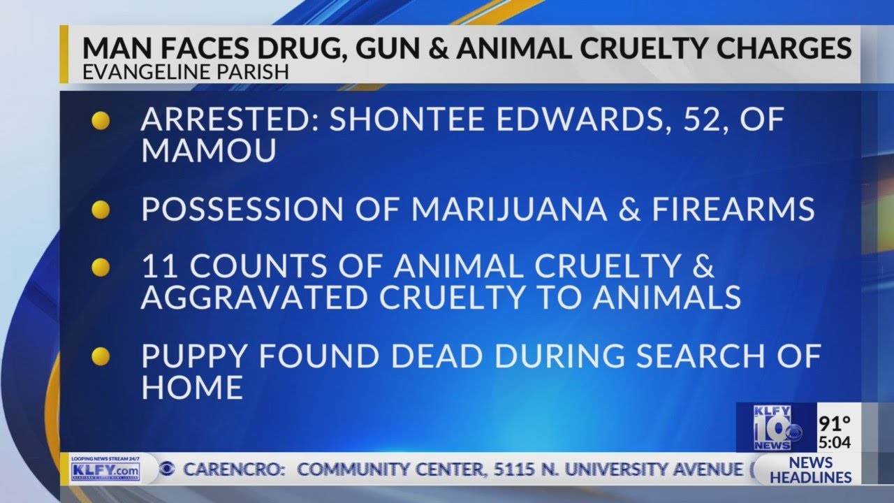 Man facing drug, gun, and animal cruelty charges in Evangeline Parish