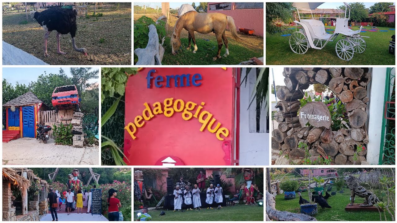 la ferme pédagogique Darna#tangerالمزرعة البيداغوجية دارنا, بوخالف