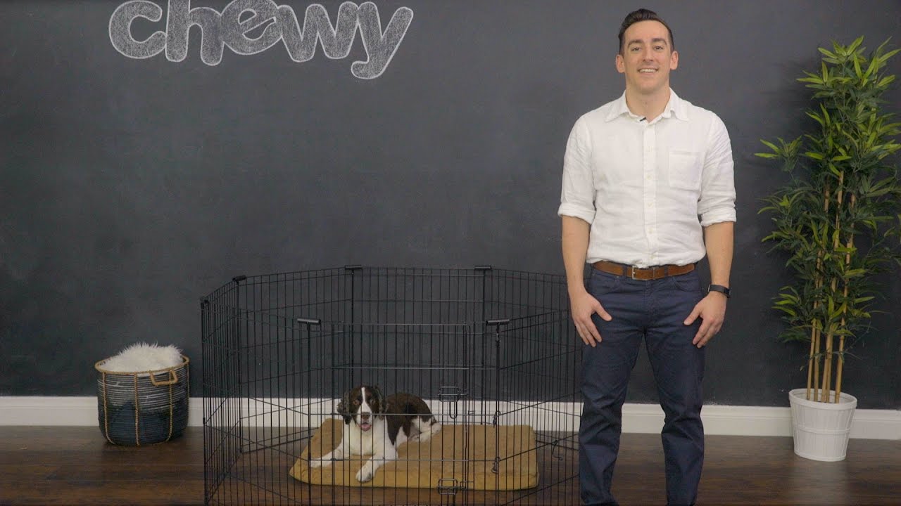 Frisco Exercise Pen for Dogs | Chewy